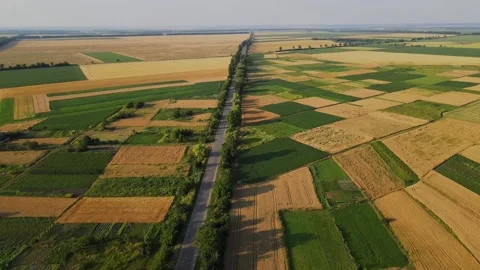 Aerial, Sown Fields, Empty Road, Grassland, Wheat and Corn of Fields, Ukraine Stock Footage 163094027