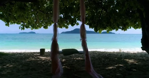 Aerial: Span through a rope swing to the beach with turquoise water. Stock Footage 82821286