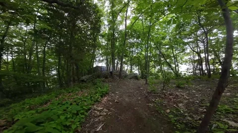 Aerial Splendors of Springtime Rocky Point: FPV Drone Footage Video stock 243367150