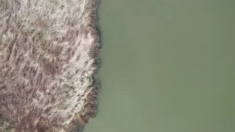 Aerial split view of the lake and dry grass Stock Footage 153053185