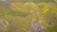Aerial: Spring Flowers On Hills In The Desert. Super Bloom, California Stock Footage