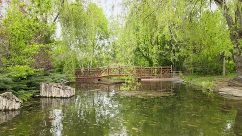 Aerial spring lake Video stock 242850610