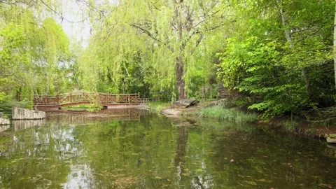 Aerial spring park Stock Footage 242850823