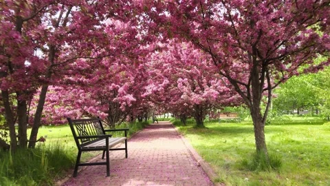 Aerial spring rotate Stock-Footage 242850579