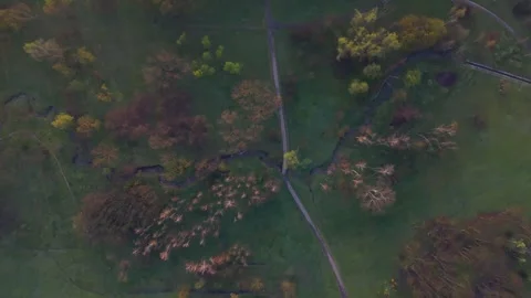 Aerial spring view over the park Stock Footage 242919715