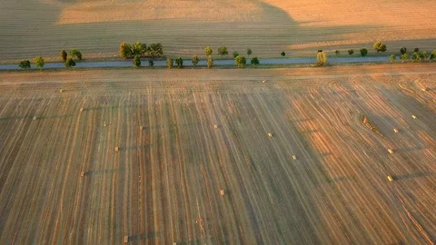 Aerial of Square Straw Bales on Fields at Sunset Stock Footage 94868828