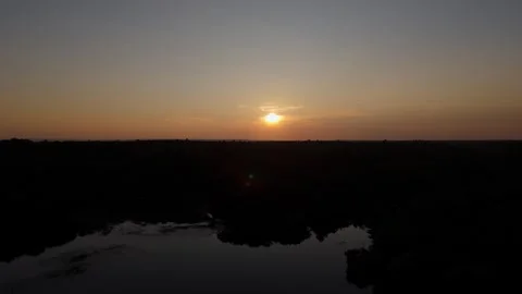 Aerial starting on a sunset then down to behind trees Stock Footage 251565022
