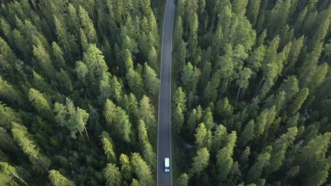 Aerial. Static camera  over small road in polish mountains surrounded by trees. Video stock 147632539