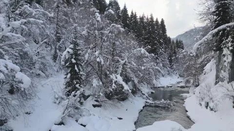 Aerial static iew background snowy forest and frozen river in magical winte.. Stock-Footage 318308218