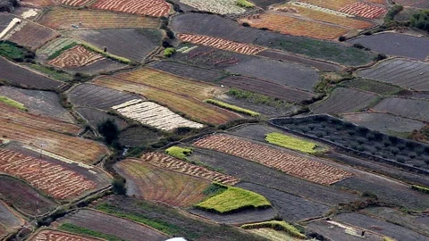Aerial static view down to variety of patterned agricultural farm land Stock Footage 105881005