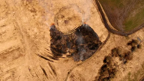 Aerial static view of the grass burns in a meadow Stock Footage 104931805