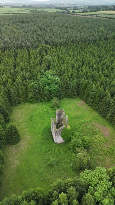 Aerial Static View of Pierce Castle in Rathpatrick County Kilkenny Ireland Stock Footage 332668856