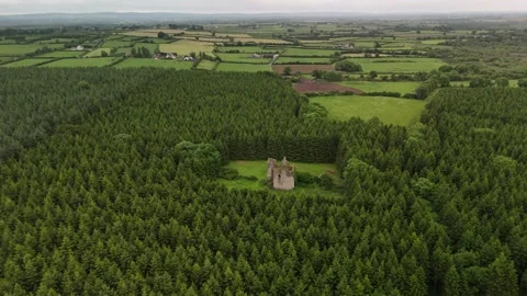 Aerial Static View of Pierce Castle in Rathpatrick County Kilkenny Ireland Stock Footage 332668880