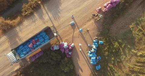 Aerial static view of workers carrying rice sacks into a big truck  Stock Footage 121737141