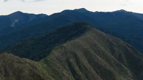 Aerial of steep forest mountain slopes in Okanogan Wenatchee National Forest Stock Footage 337908349