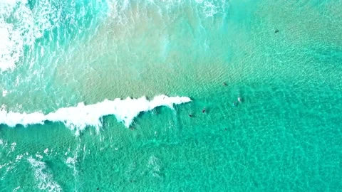 Aerial Still Top Down View over waves with bodyboarders in tropical clear ocean Stock Footage 130220697