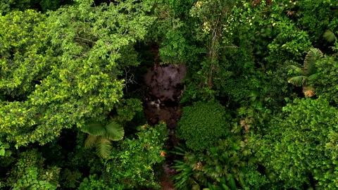 Aerial still video; a top view showing the water flowing through a stream Stock Footage 336868546