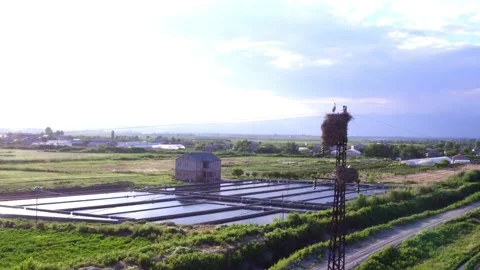 Aerial Stork In Nest Stock-Footage 135896505