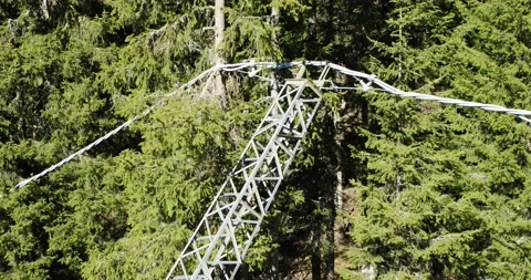 Aerial of storm damage, bent power pole in forest. Electricity line down in 4K Stock Footage 132024974