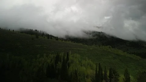 Aerial of stormy low clouds in Cache National Forest in Logan Canyon Utah Stock Footage 276922129