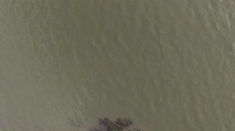Aerial straight down fly over of small island in san francisco bay at sunrise Stock Footage 68182112