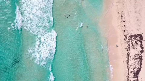 Aerial straight down view of clear water, beach in Cozumel, Mexico. Stock-Footage 101473377