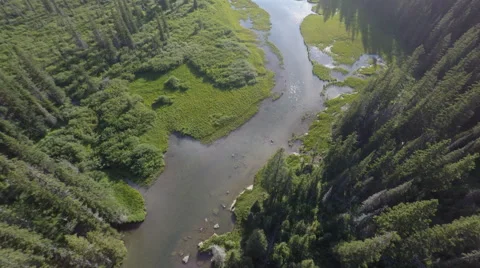Aerial stream forest 4k Stock Footage 65365895