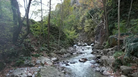Aerial stream in nature Stock Footage 223816577