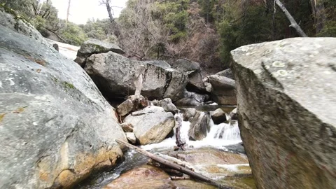 Aerial Of A Stream Running Through A Forest Stock-Footage 208818467