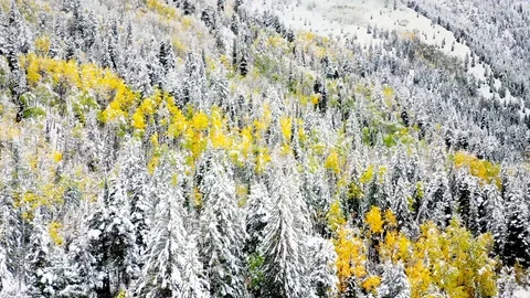  Aerial of stunning fall colors with first winter snow storm 4k Video stock 104987497