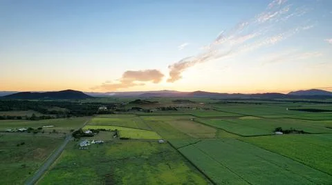 Aerial Of Sugar Cane Fields At Sunset Stock Photos