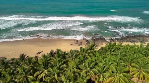 Aerial summer beach with palm trees symbolizing freedom, tourism, travel Stock-Footage 341375413