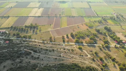 Aerial summer evening top-down view of square farmlands in Peloponnese, Greece. Stock Footage 278194590