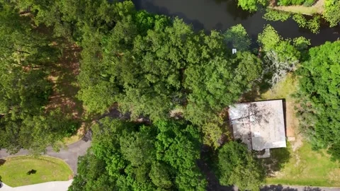 Aerial summer nature top down of rural Deep South Carriere Pearl River Coun.. Stock Footage 319945743