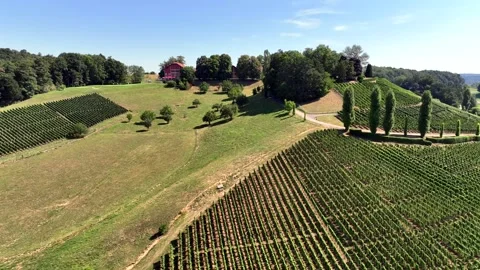 Aerial summer view of Schloss Goldenberg with wide panoramic landscape Stock Footage 323698501