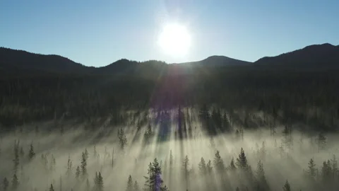 Aerial of Sun Rays Cutting Through Dense... | Stock Video | Pond5