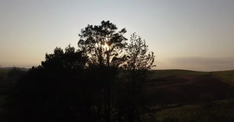 Aerial of Sun Through the trees Stock Footage 53331620