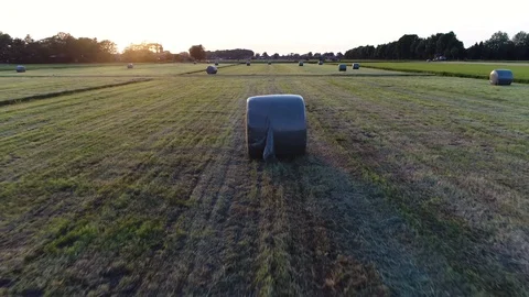 Aerial sundown footage of partially dried mown grass 4k Stock Footage 89946946