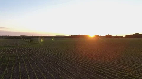Aerial of the sunrise over a farm field Stock Footage 77213756