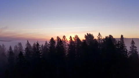Aerial sunrise over forest and fog horizon – Part20 Stock Footage 319071453