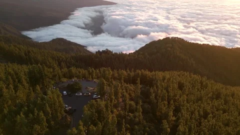 Aerial Sunrise Over Pine Forest and Clouds at Teide Viewpoint, Tenerife, Spain Video stock 345077221