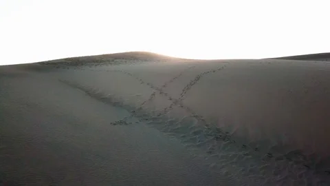 Aerial: sunset in a desert. Camera flies to the setting sun in a desert with Stock Footage 94106804