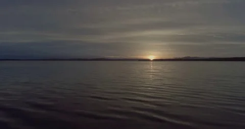 Aerial sunset flight low over the reeds in the lake at Mungo Brush National Stock Footage 77818392