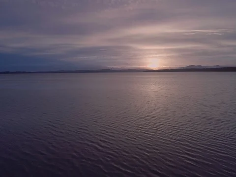 Aerial sunset flight low over the reeds in the lake at Mungo Brush National Stock Footage 77818485