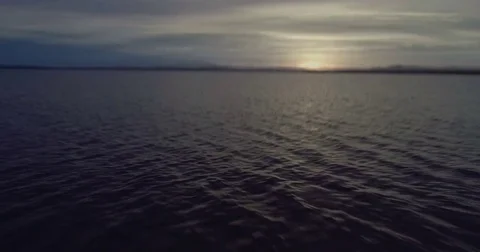 Aerial sunset flight low over the reeds in the lake at Mungo Brush National Stock Footage 77818552