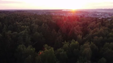 AERIAL: Sunset over a forest and a country cottage village Stock Footage 190094853