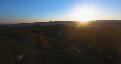 Aerial of sunset over the vineyard Stock-Footage 102187015