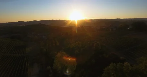 Aerial of sunset over the vineyard Stock-Footage 102187182