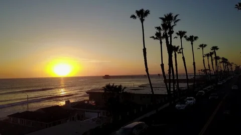 Aerial Sunset Palm Tree Beach Ocean Drone Stock Footage 77631754