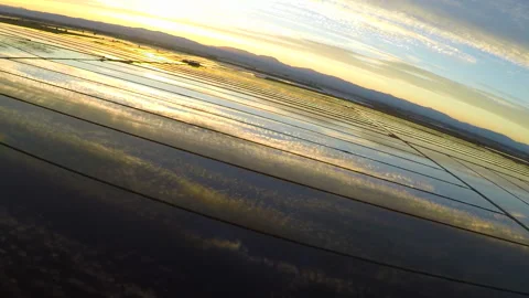 Aerial sunset reflection over flooded rice fields northern California Stock Footage 240119714